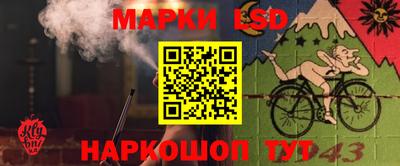 дживик Кингисепп