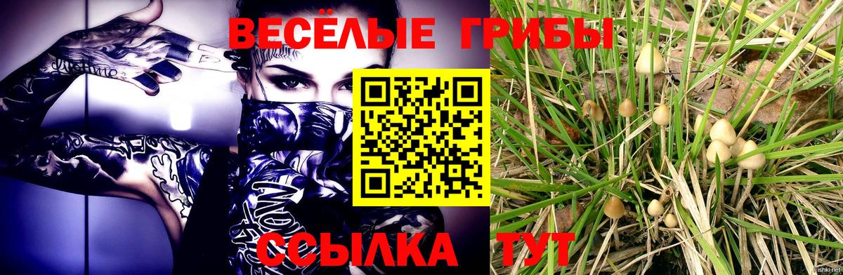 закладка  Псилоцибиновые грибы Psilocybine cubensis  Вход с VPN  Красноярск 